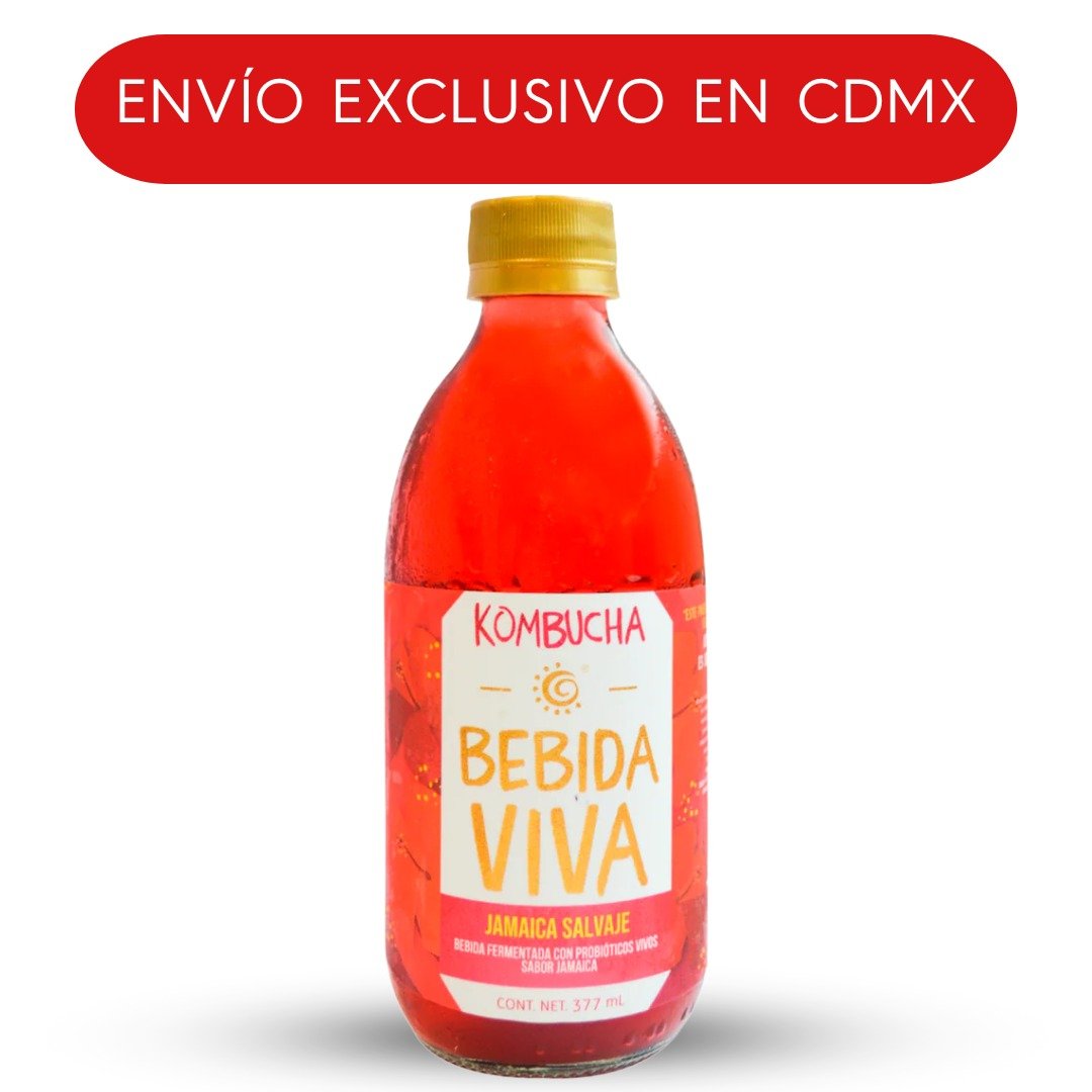 HOLY KOMBUCHA JAMAICA SALVAJE 377 ML