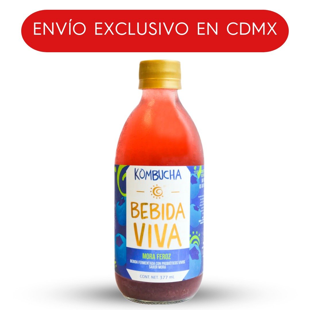 HOLY KOMBUCHA MORA FEROZ 377 ML