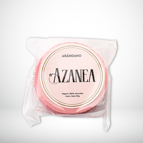 OBLEA ARANDANO MOMENTOS DE SABOR AZANEA