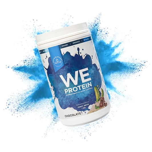 WE PROTEIN SABOR CHOCOLATE 1 KG
