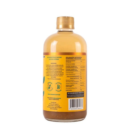 KOMBUCHA ENERGY 500ML