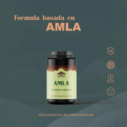 TIBET NATURA AMLA 60 CAPSULAS