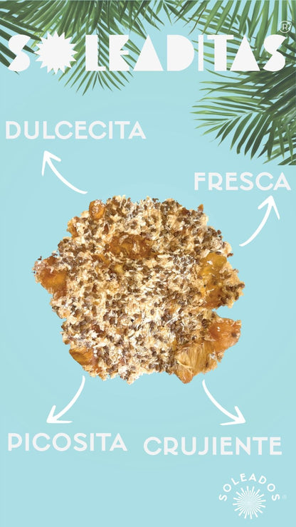 SOLEADITA PIÑA TROPICAL 90 GR SOLEADOS