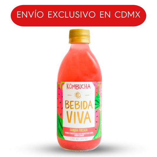 HOLY KOMBUCHA SANDIA FRESCA 377 ML