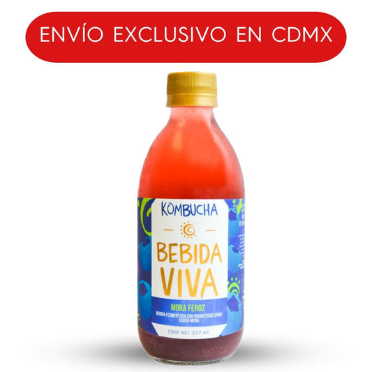 HOLY KOMBUCHA MORA FEROZ 377 ML